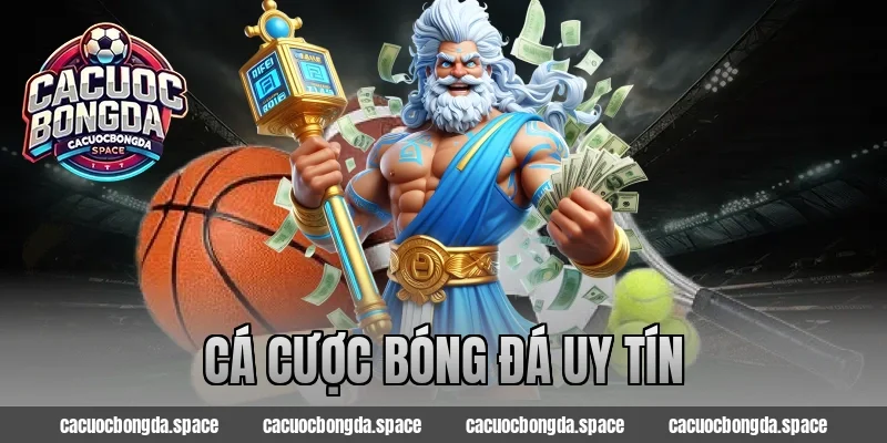 cá cược bóng đá uy tín