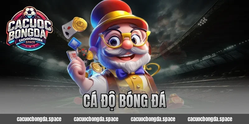 cá độ bóng đá