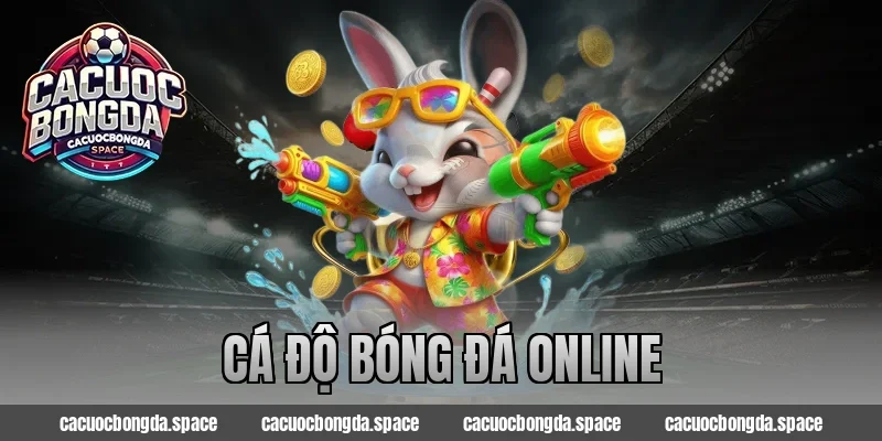 cá độ bóng đá online