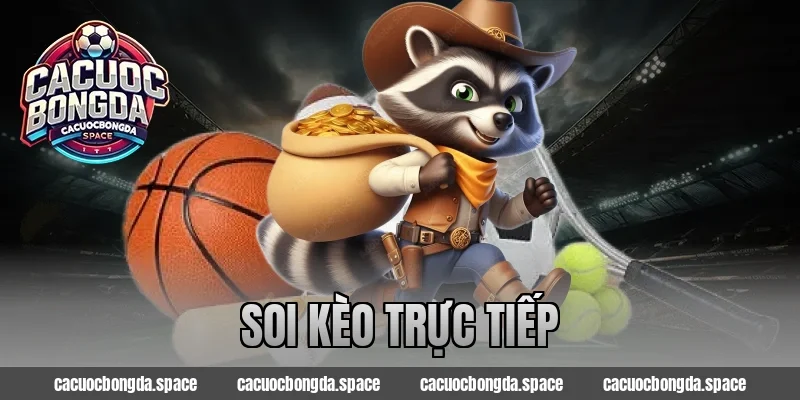 soi kèo trực tiếp