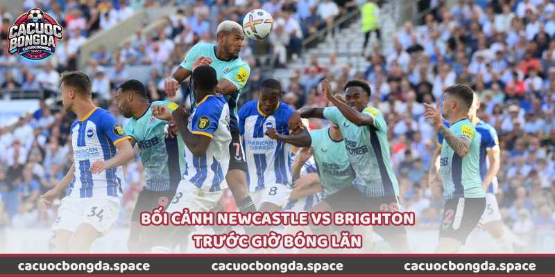 Bối cảnh Newcastle vs Brighton trước giờ bóng lăn