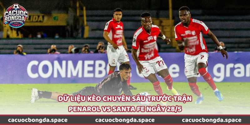Dữ liệu kèo chuyên sâu trước trận Penarol vs Santa Fe ngày 28/5