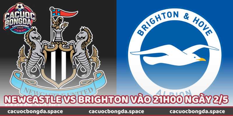 Nhận Định Bóng Đá Newcastle Vs Brighton Vào 21H00 Ngày 2/5